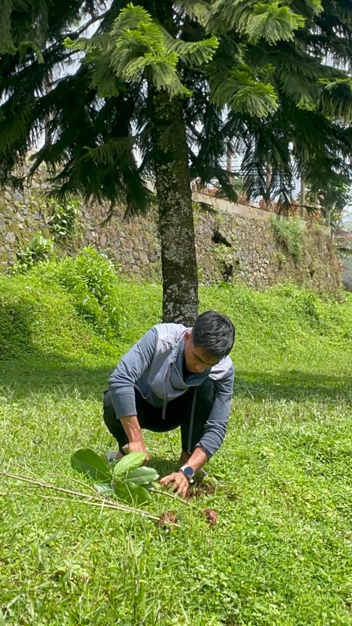 MASFICUS Collaboration